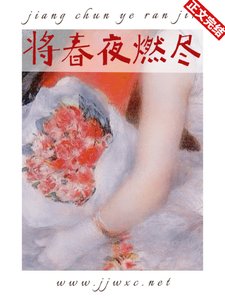 将春夜燃尽