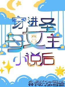 穿进圣母女主小说后